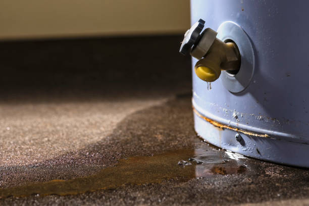 Best Water damage repair service  in Melrose Park, IL