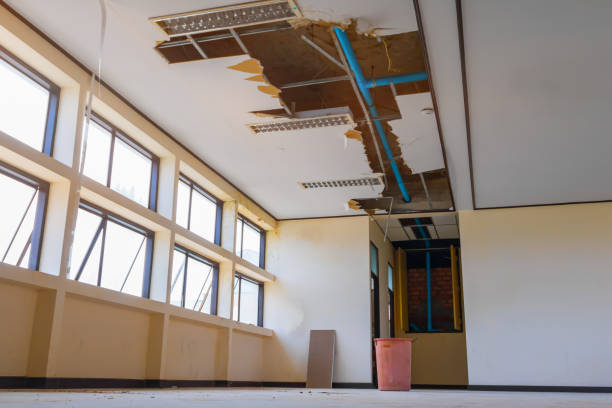 Best Fire Damage Restoration  in Melrose Park, IL