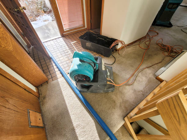  Melrose Park, IL Water damage restoration Pros