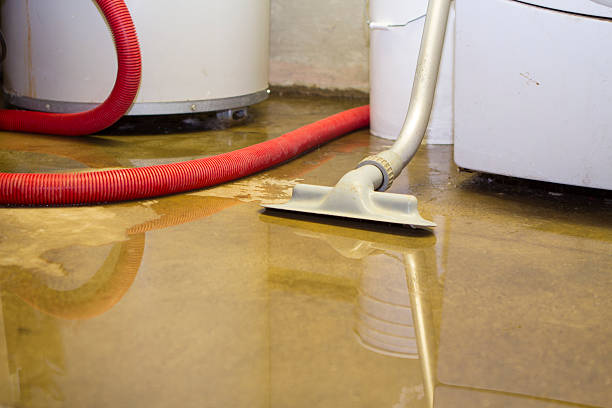 Best Basement water damage restoration  in Melrose Park, IL