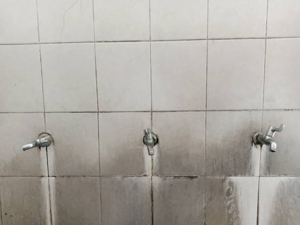Carpet water damage restoration in Melrose Park, IL