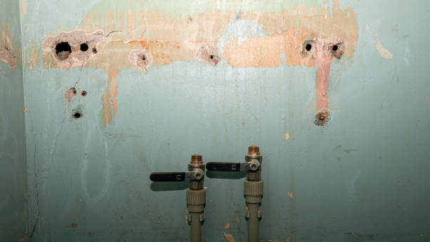 Best Local water damage restoration  in Melrose Park, IL