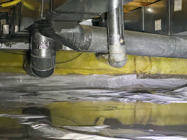Best Flood damage cleanup  in Melrose Park, IL