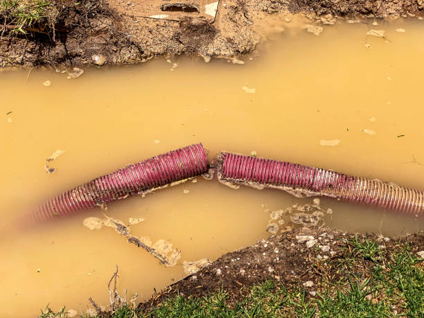 Best Water damage restoration near me  in Melrose Park, IL