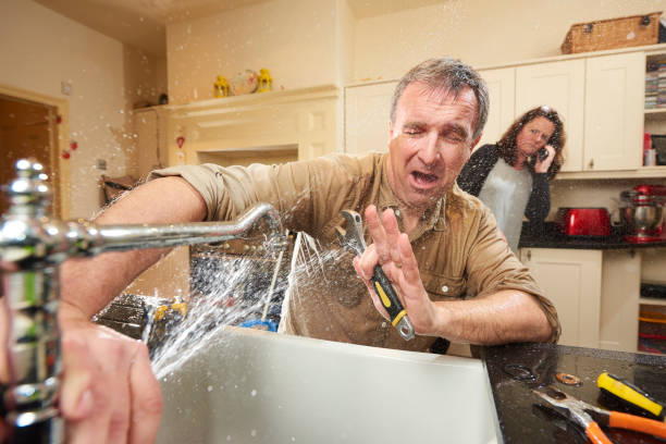 Best Carpet water damage restoration  in Melrose Park, IL